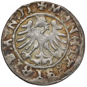 Sigismund I, Halfgroat w/d Cracow