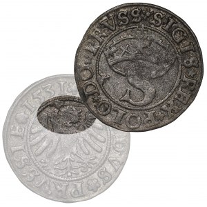 Sigismund I the Old, Schilling 1531, Thorn