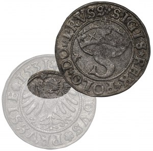 Sigismund I the Old, Schilling 1531, Thorn