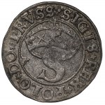 Sigismund I the Old, Schilling 1531, Thorn