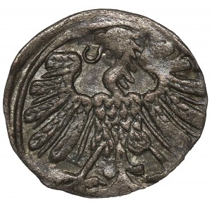 Sigismund II Augustus, Denarius 1558, Vilnius