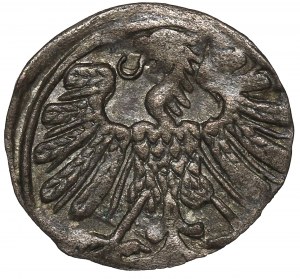 Sigismund II Augustus, Denarius 1558, Vilnius