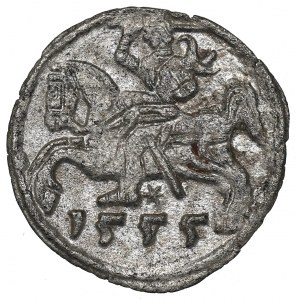 Sigismund II. Augustus, Denar 1555, Vilnius