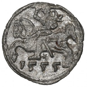 Sigismund II Augustus, Denarius 1555, Vilnius