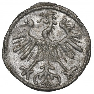 Sigismund II. Augustus, Denar 1555, Vilnius