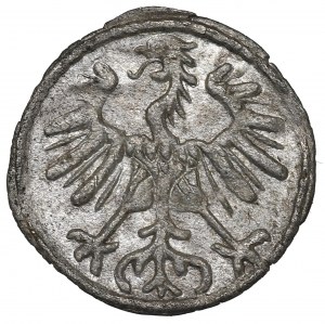 Sigismund II Augustus, Denarius 1555, Vilnius