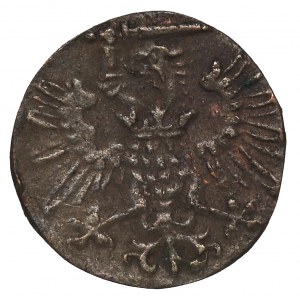 Denarius 1573, Danzig