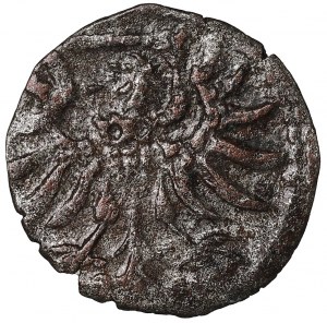 Sigismund II Augustus, Denarius 1555, Gdańsk