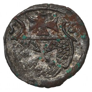 Zygmunt II August, Denar 1556, Elbląg