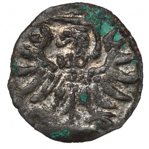 Zygmunt II August, Denar 1556, Elbląg