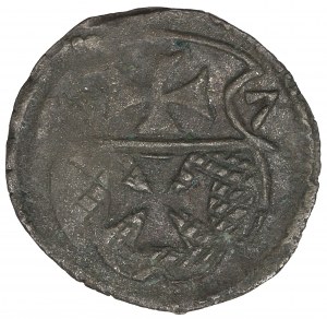 Sigismund II Augustus, Denarius 1557, Elbing