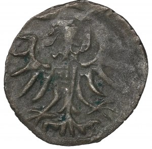 Sigismund II Augustus, Denarius 1557, Elbing
