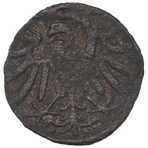 Sigismund I the Old, Denarius without date, Elbing
