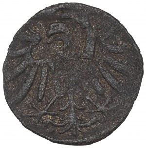 Sigismund I the Old, Denarius without date, Elbing