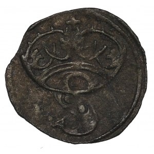 Sigismund I the Old, Denarius without date, Thorn
