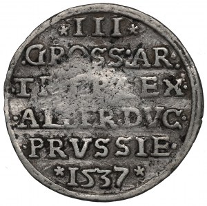 Ducal Prussia, Albrecht Hohenzollern, Trojak 1537, Königsberg