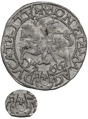 Sigismund II Augustus, Halfgroat 1566, Tiktin