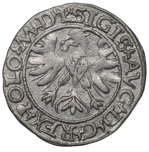 Sigismund II Augustus, Halfgroat 1566, Tiktin