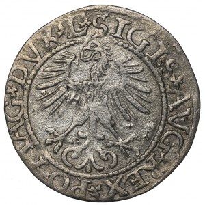 Sigismund II Augustus, Halfgroat 1565, Vilnius