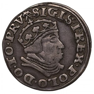 Sigismund I the Old, 3 groschen 1540, Danzig