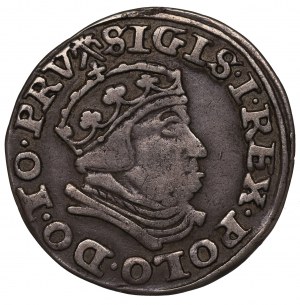 Sigismund I the Old, 3 groschen 1540, Danzig