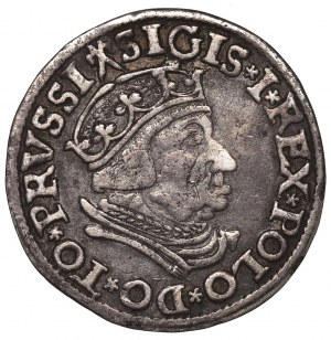 Sigismund I the Old, 3 groschen 1537, Danzig