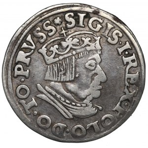 Sigismund I the Old, 3 groschen 1537, Danzig