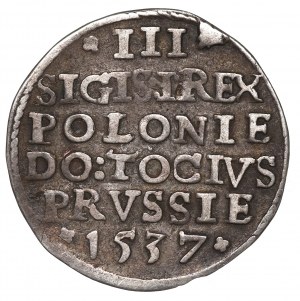 Sigismund I the Old, 3 groschen 1537, Elbing
