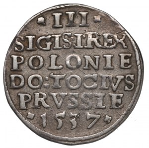 Sigismund I the Old, 3 groschen 1537, Elbing
