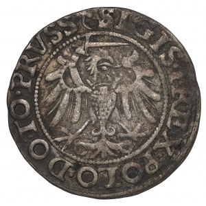 Sigismund I the Old, 1540 penny, Elblag - PRVSS