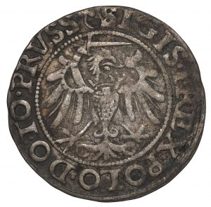 Sigismund I the Old, 1540 penny, Elblag - PRVSS