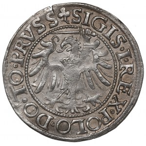 Sigismund I The Old, Groschen 1539, Elbing