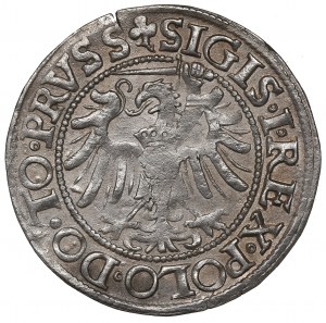 Sigismund I The Old, Groschen 1539, Elbing