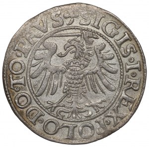 Sigismund I The Old, Groschen 1539, Elbing