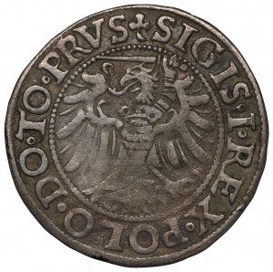 Sigismund I The Old, Groschen 1539, Elbing