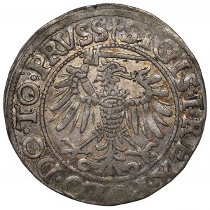 Sigismund I The Old, Groschen 1539, Elbing