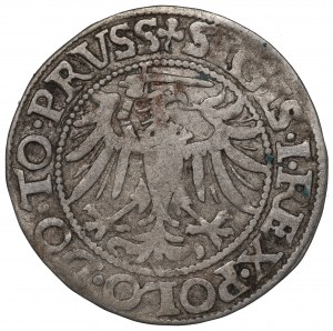 Sigismund I The Old, Groschen 1539, Elbing