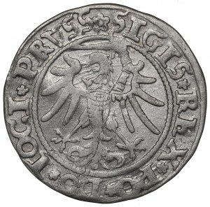 Sigismund I the Old, Groschen 1535, Elbing