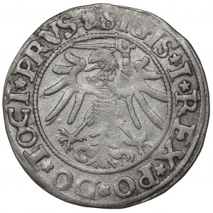 Sigismund I the Old, Groschen 1535, Elbing