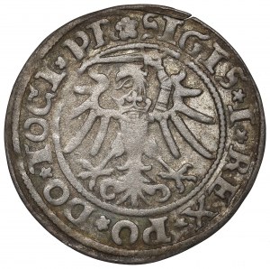 Sigismund I the Old, Groschen 1535, Elbing