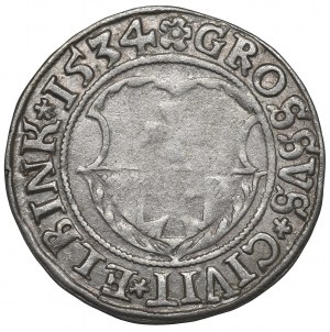 Sigismund I the Old, Groschen 1534, Elbing