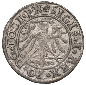 Sigismund I the Old, Groschen 1534, Elbing