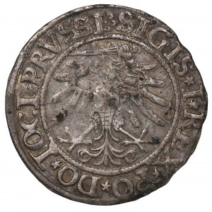 Sigismund I the Old, Groschen 1533, Elbing