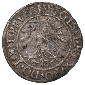 Sigismund I the Old, Groschen 1533, Elbing