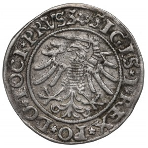Sigismund I the Old, Groschen 1533, Elbing