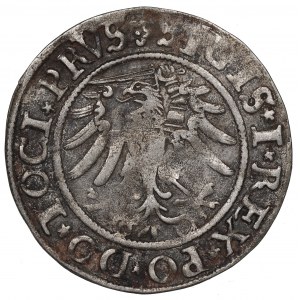 Sigismund I the Old, Groschen 1533, Elbing