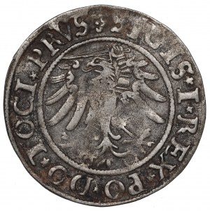 Sigismund I the Old, Groschen 1533, Elbing