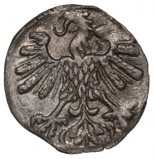 Sigismund Augustus, Denar 1559, Vilnius
