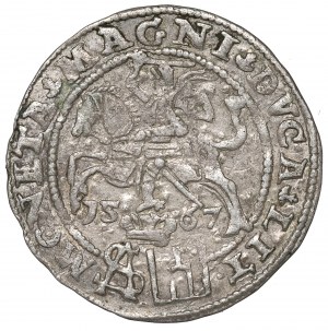 Sigismund II Augustus, Groschen 1567, Tiktin