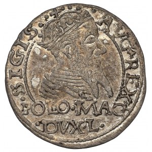 Sigismund II Augustus, Groschen 1567, Tiktin